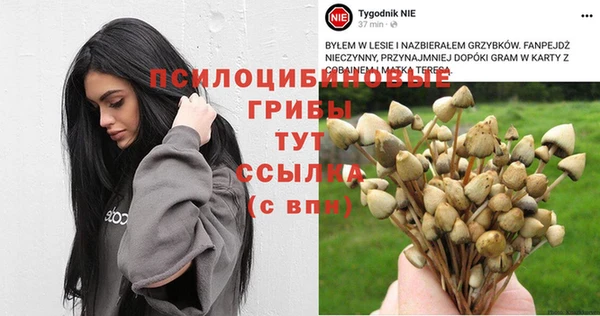 первитин Абдулино