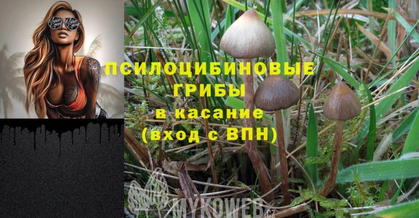 молекула духа Абаза